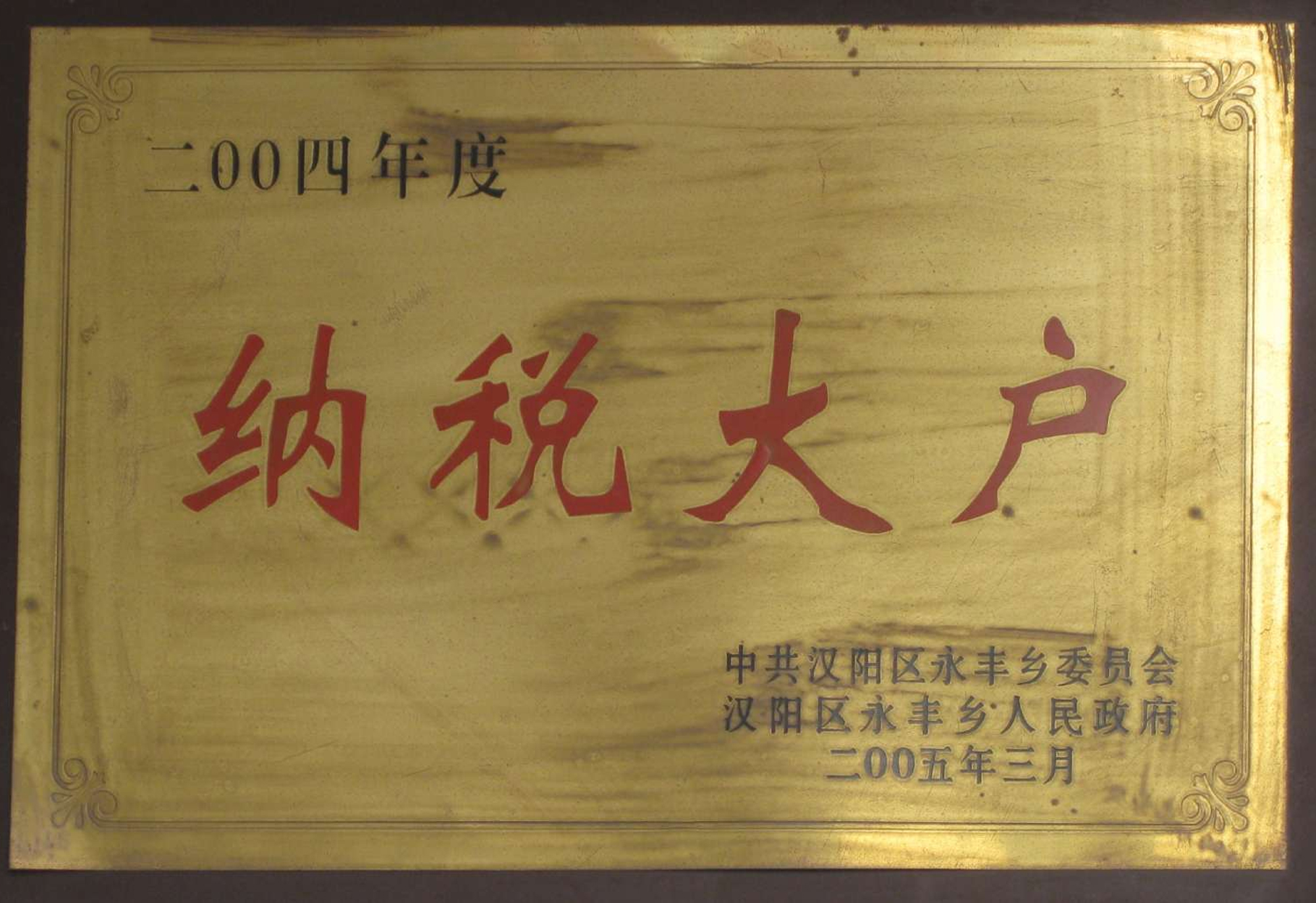 纳税大户（2004年度）
